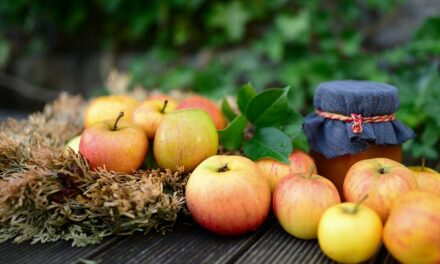 “Apple Trials Secure RCS Messaging Between iPhone and Android”