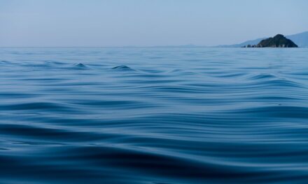 Google Meet Live Speech Translation May Launch on Android